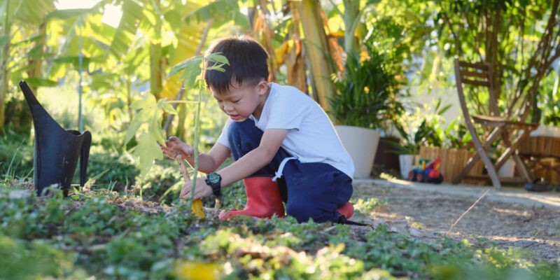 Projets de jardinage pour la famille