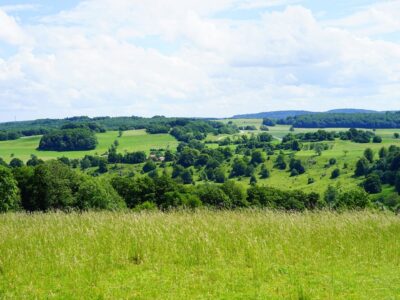 Vente d'un terrain : les avantages et inconvénients de se tourner vers un promoteur