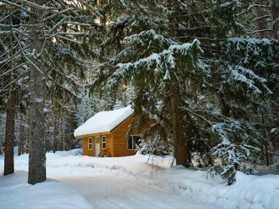 Différence entre un bungalow et une maison : Un guide complet